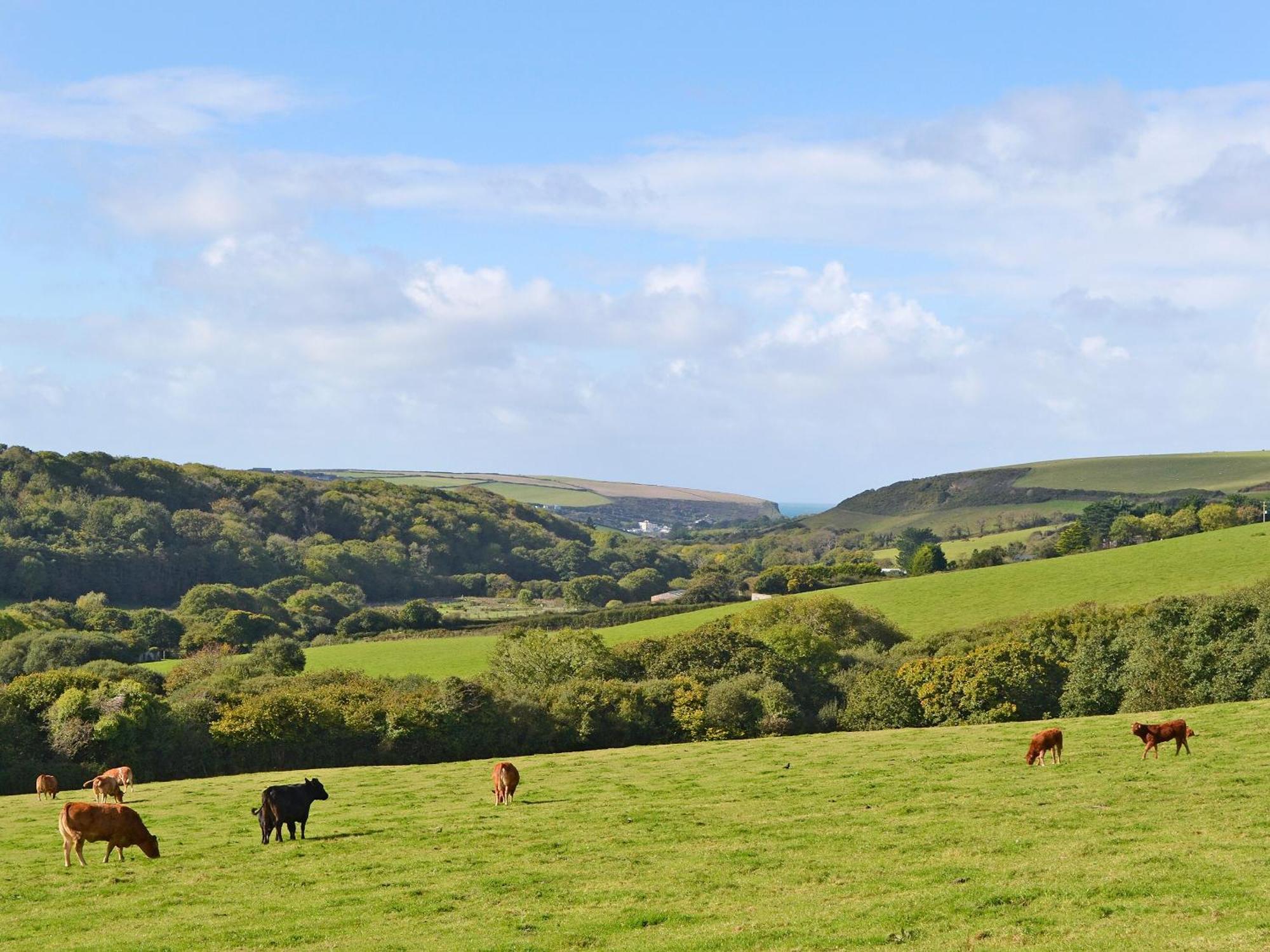 Merlin View St Mawgan 외부 사진